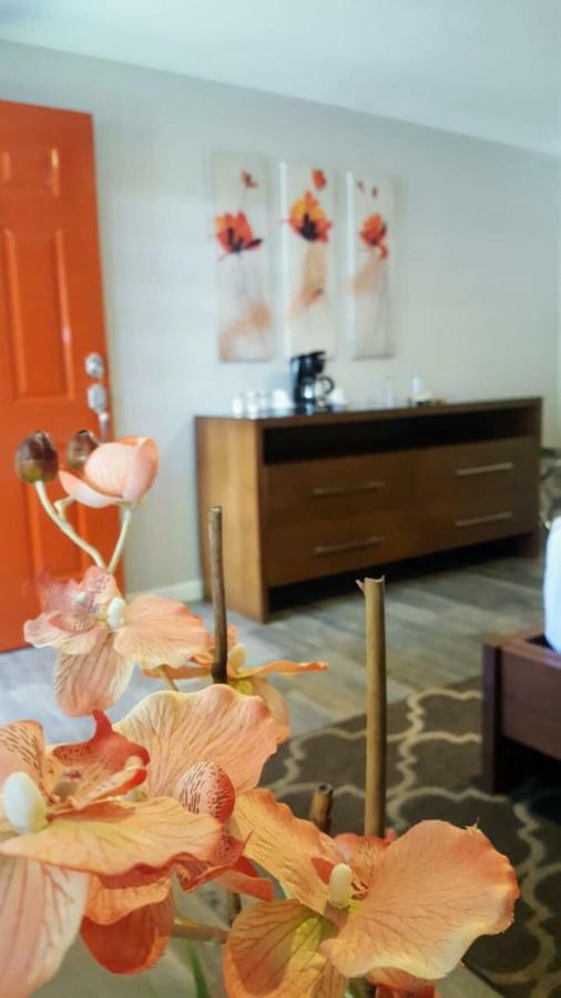Quinta Arratz Hotel Villa de Juarez Eksteriør billede